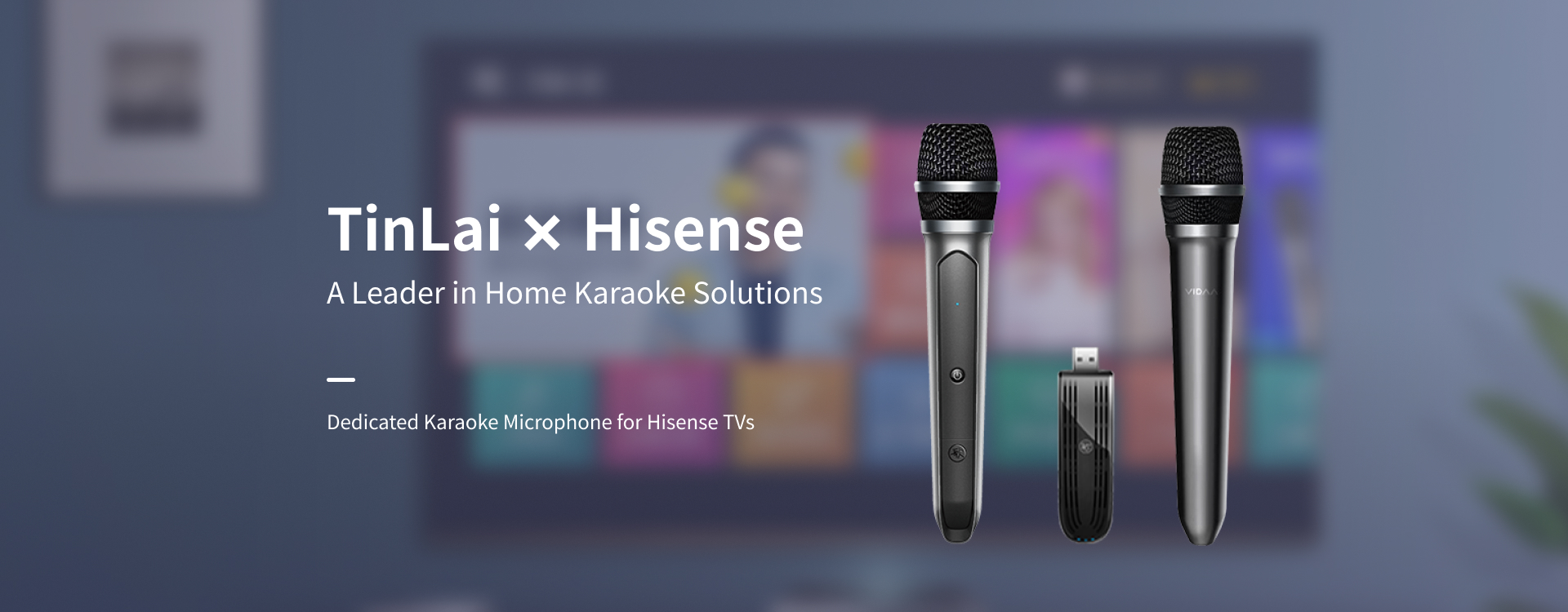 Tinlai for Hisense